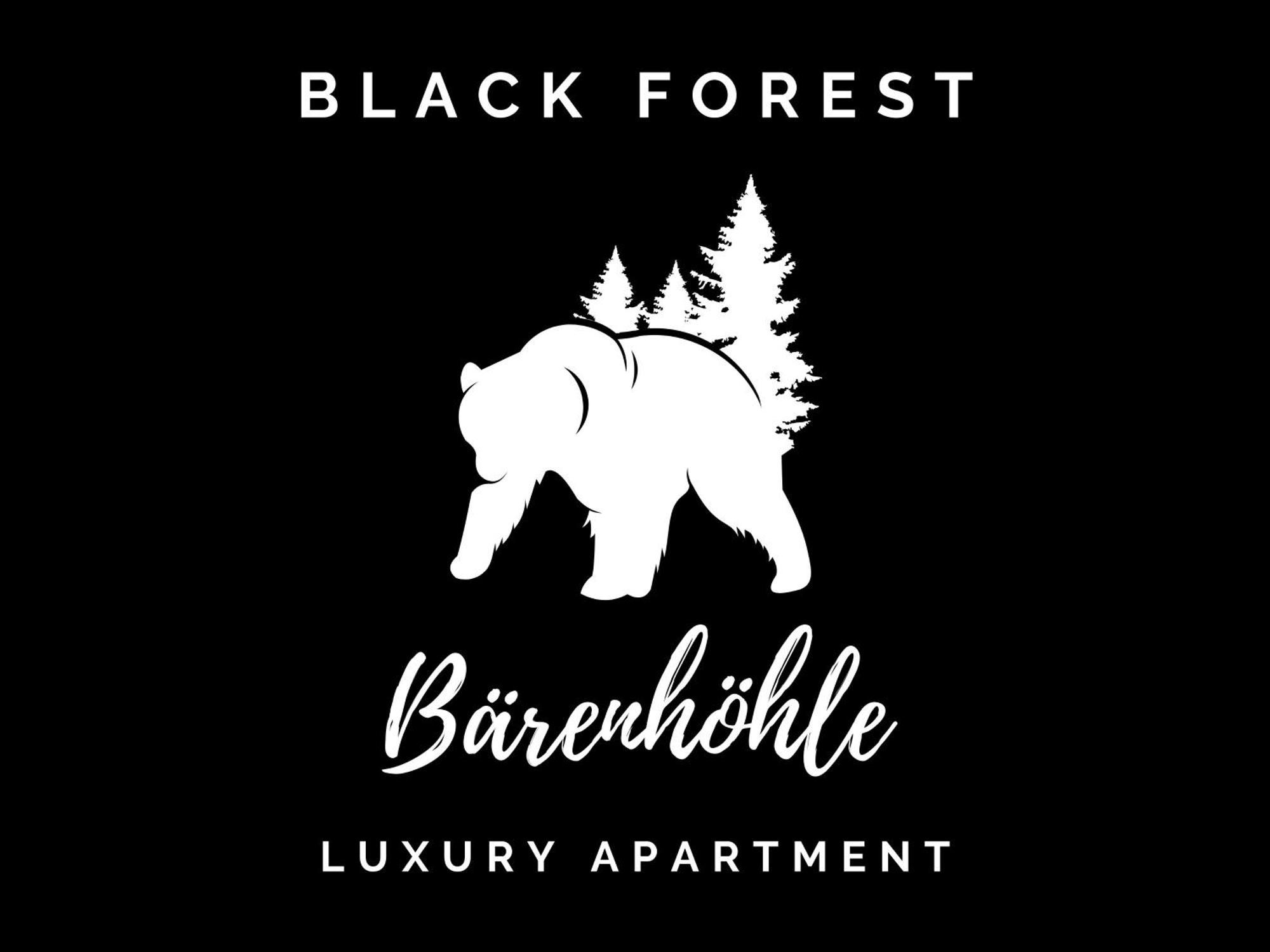 Black Forest Luxury Apartment Baerenhoehle Mit Sauna Schluchsee Exterior photo